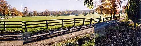Front Panorama View