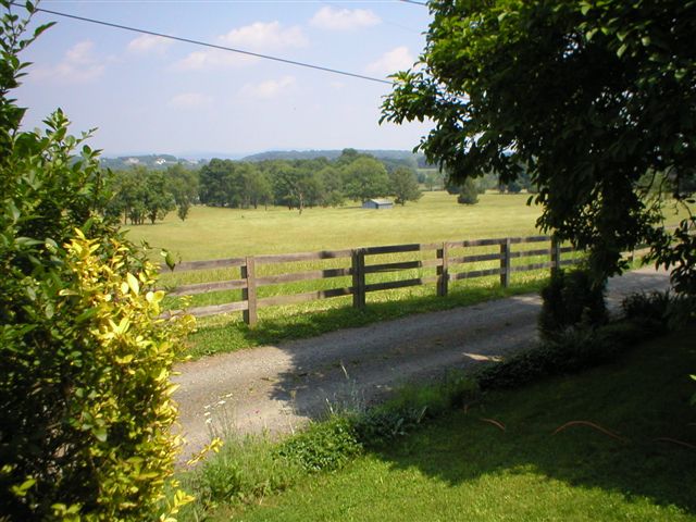 Front Yard View