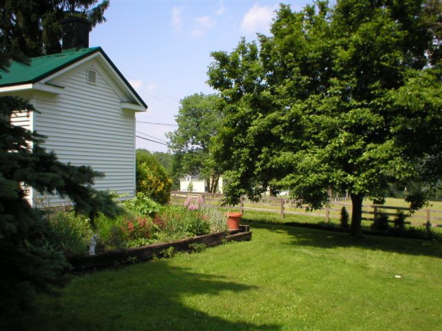 Front Lawn