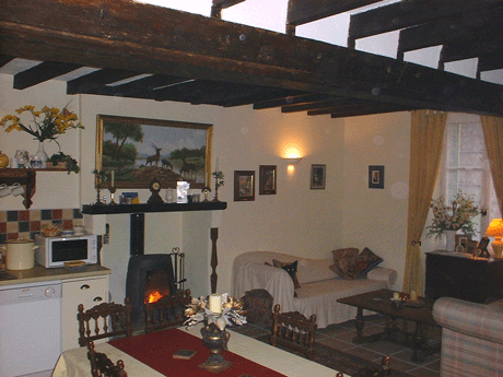 Lounge area with ample seating and wood burning stove