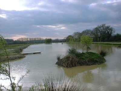 Fishing pool available to all clients