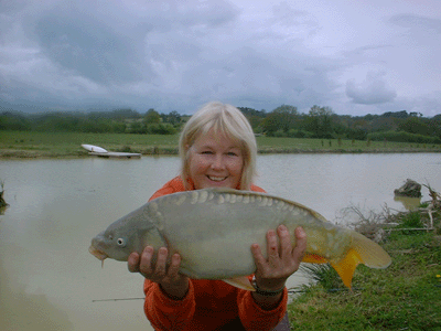 A recently caught fish