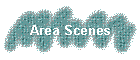 Area Scenes