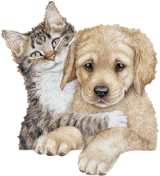 "Dogs & Cats for Adoption at the Alger County Humane Society" (Munising)
