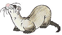 "The Yooper Whooper" (*Poem)