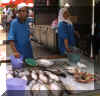 marketfish.JPG (102801 bytes)