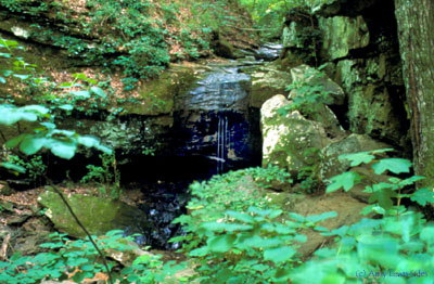 waterfall in tributary of 
Hurricane Creek