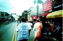 highbush1t.JPG