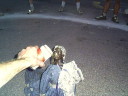 photo1013t.JPG