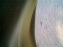 photo973t.JPG