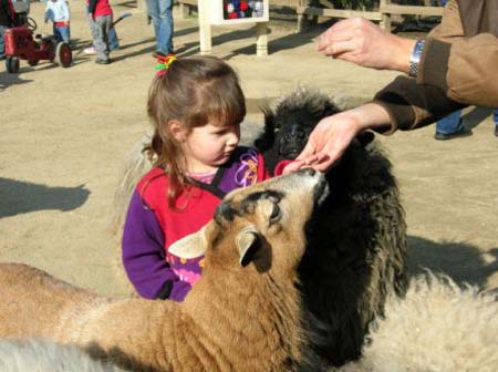 sfzoo-5