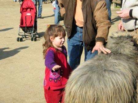 sfzoo-7