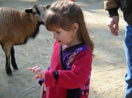 sfzoo-8