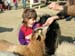 sfzoo-5