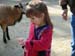 sfzoo-8