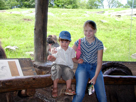 bronx_zoo2