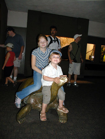 bronx_zoo3