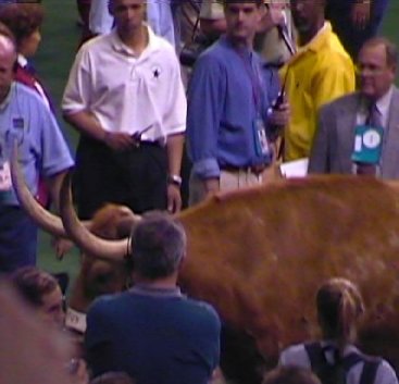 /user/bevo.jpg