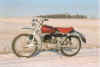 T-pil-vinter.jpg (12170 tavu(a))