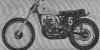 suzuki2501970.jpg (27135 tavu(a))