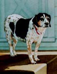 betsytcropped.jpg (9922 bytes)