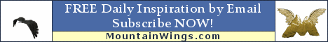 Mountain Wings