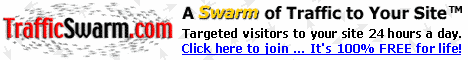 Traffic Swarm