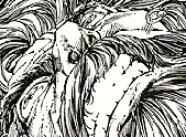 Aquaman # 53 pg 1