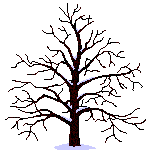 Tree Trimming