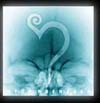 ::ROENTGEN::