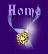 Home Button