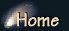 Home Button