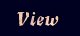 View Guestbook