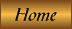 Home Button