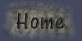 Home Button