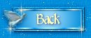 Back Button