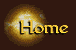 Home Button
