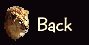 Back Button