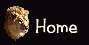 Home Button