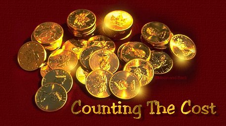 Counting the Cost