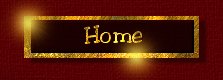 Home Button