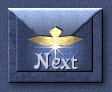 Next Button