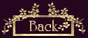 Back Button