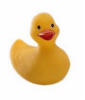 erin.ash gave me this duck
