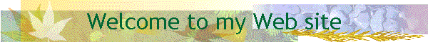 Welcome to my Web site