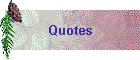 Quotes