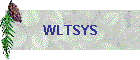 WLTSYS