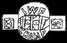 belt2.jpg (4562 bytes)