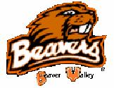Beaver Valley Beavers