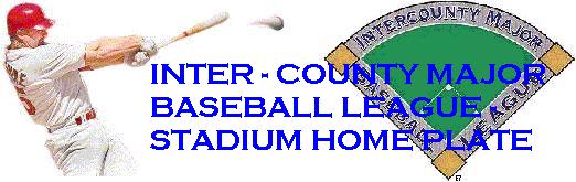 Stadium Home Plate
